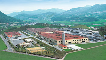 Sejong plant